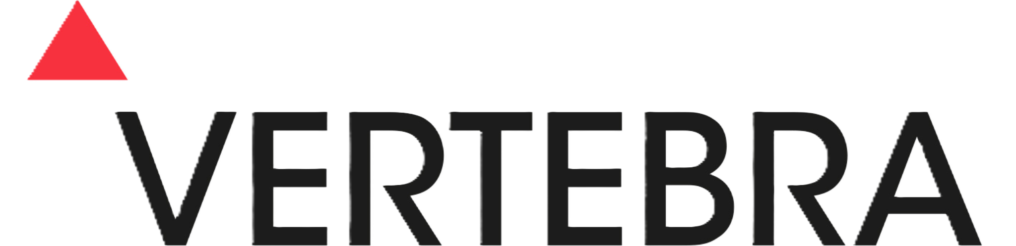 Vertebra Gestión