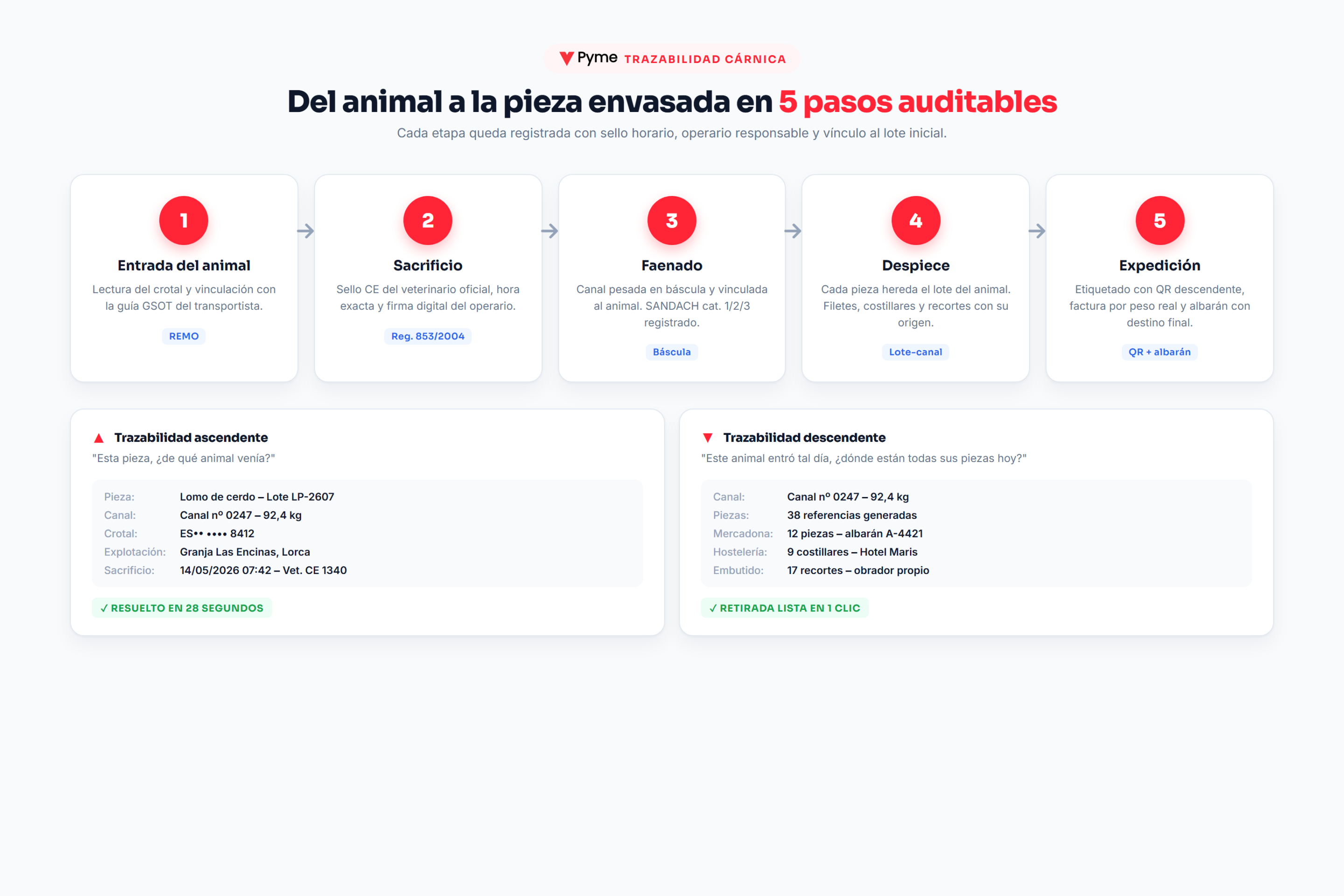 software para industria cárnica — diagrama de los 5 pasos auditables del animal a la pieza envasada con trazabilidad ascendente y descendente